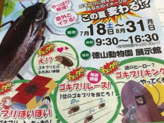 動物園に関連する65件の記事 2ページ目 トゥギャッチ
