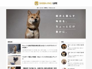 力作揃いの キャラ弁 ハッシュタグに投稿された トイプードル弁当 が異彩を放つ トゥギャッチ