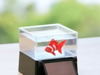 鮮度が良すぎてまれに生き返る場合も 冷凍どじょうにまさかの注意書き トゥギャッチ