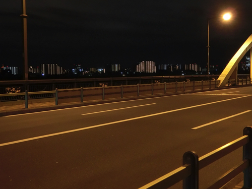 電車で行ける東京近郊のコワイ場所 夜の 江北橋 に行ってみた 2ページ目 トゥギャッチ