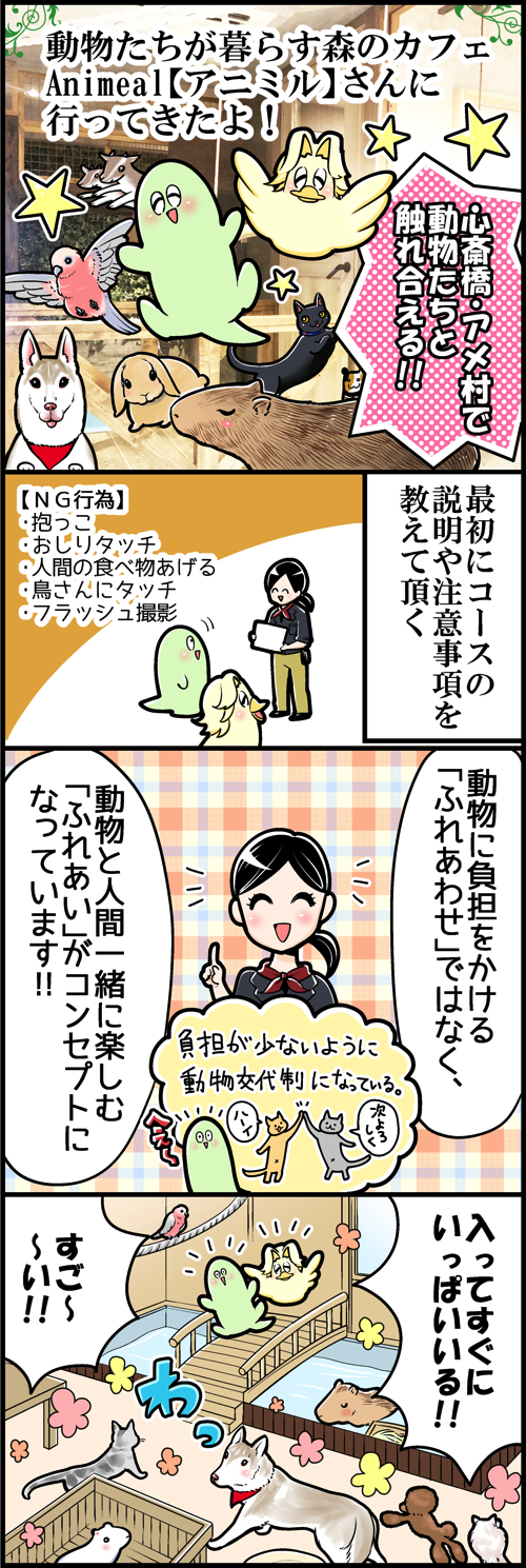 連載 も さんのも さんぽ 第2回 動物たちと触れ合えるカフェ アメ村に行ってきた トゥギャッチ 連載 も さんのも さんぽ 第2回 動物たちと触れ合えるカフェ アメ村に行ってきた トゥギャッチ