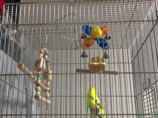 好きな動画をpcの壁紙にできる Wallpaper Engine の未来感がすごい トゥギャッチ