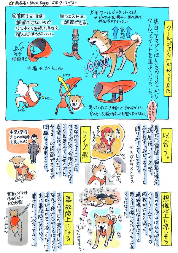 猛暑のお散歩にぴったり 犬用クールジャケット がかわいらしくてワンちゃんも快適そう トゥギャッチ