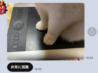 こんなことがあっていいのか 猫と一緒に寝る様子 を描いたイラストがあまりにも羨ましい トゥギャッチ