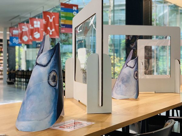 近畿大学 クロマグロの頭