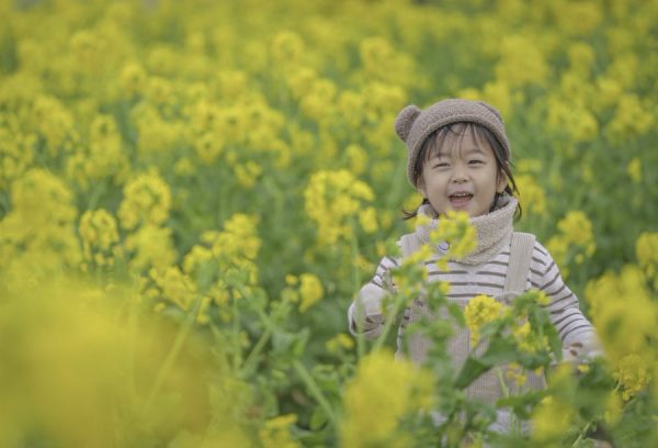 菜の花畑と男の子