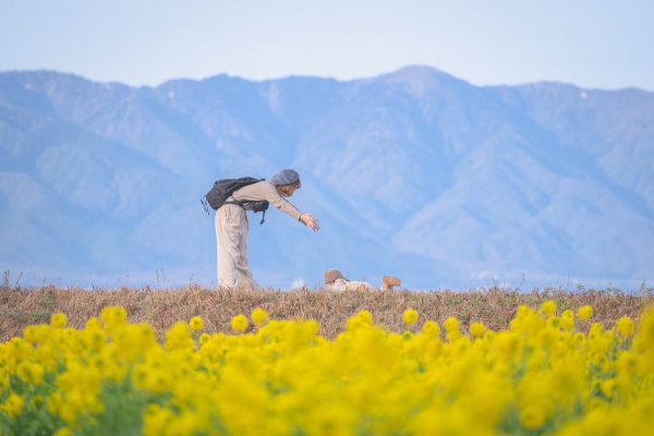 男の子が転んでしまった