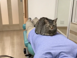 障害者は特別じゃない 尊いと評判のラブコメ漫画 ヤンキー君と白杖ガール 作者が込めた思いを聞いた トゥギャッチ