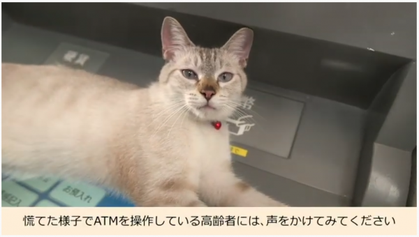 ATM操作画面の上でくつろぐ猫