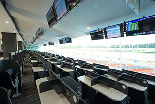 大井競馬
