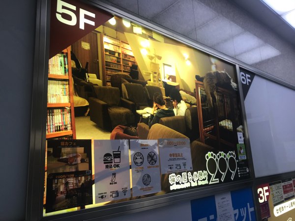 リモートワークの効率が爆上がりするかも 今だから習慣にしたい 最高の昼寝 を追求してきた 2ページ目 トゥギャッチ