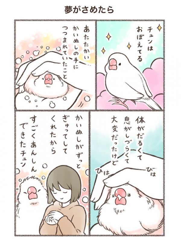 旅立つ小鳥への思いをこめた漫画に「涙なしには読めない」との声が 